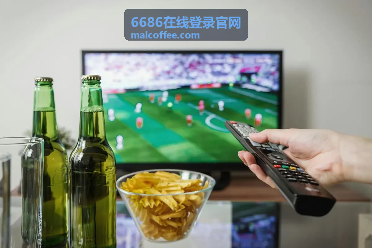 6686在线登录官网使用指南与帮助封面
